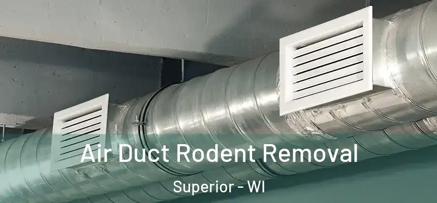  Air Duct Rodent Removal Superior - WI