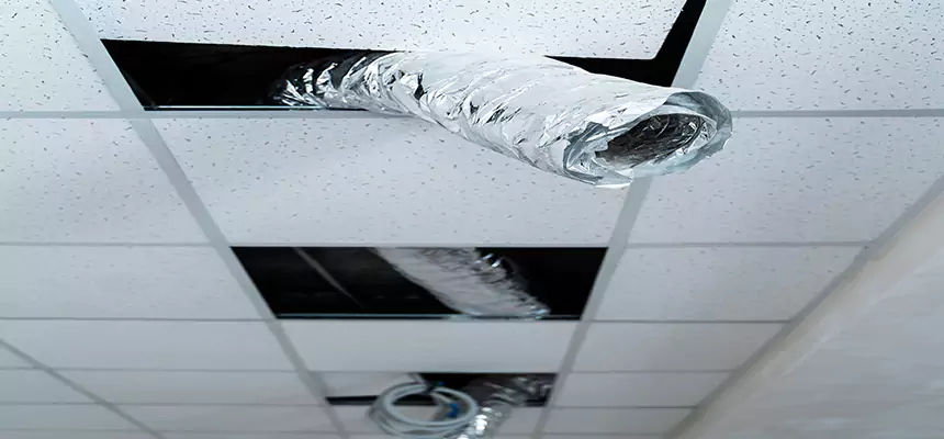 Affordable HVAC Sanitizing After Pest Removal in Superior