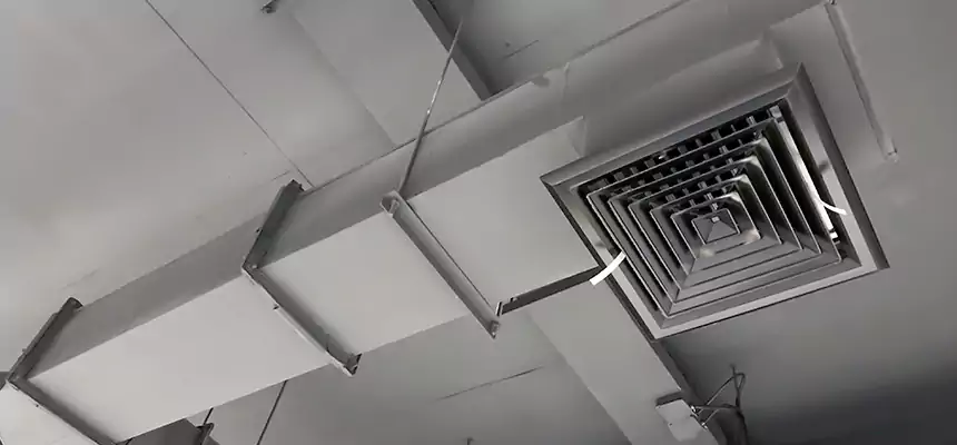 Our Rodent Droppings In Vents Services in Superior, WI