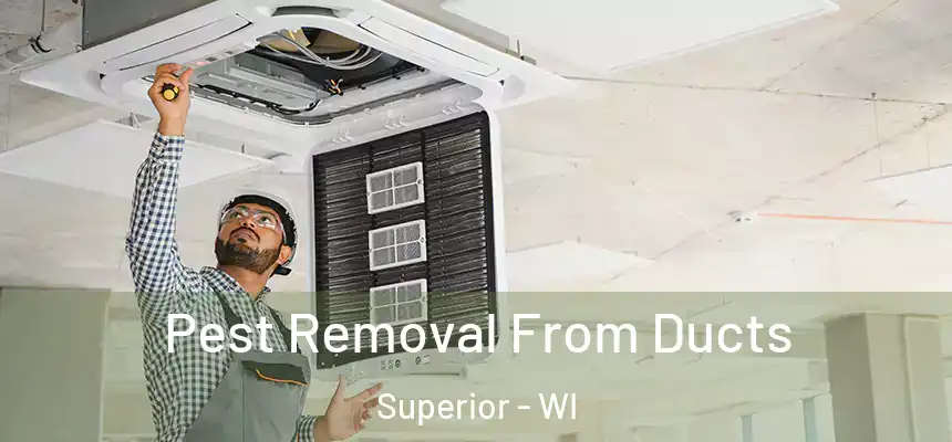  Pest Removal From Ducts Superior - WI
