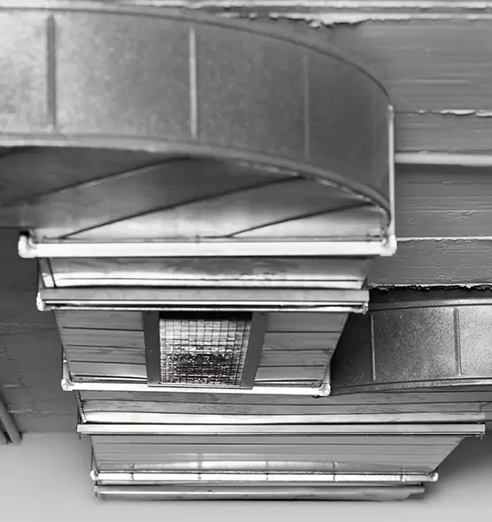 Professional Air Duct Pest Removal in Superior, WI