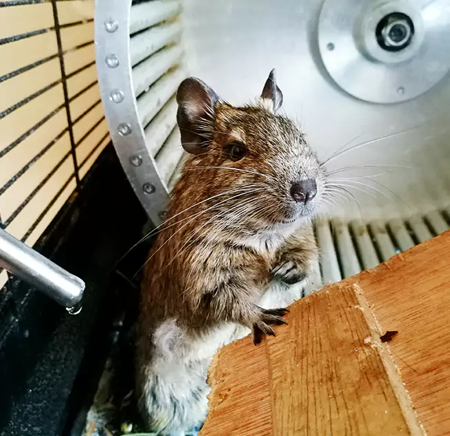 Why Homeowners & Businesses Trust Us Superior, WI